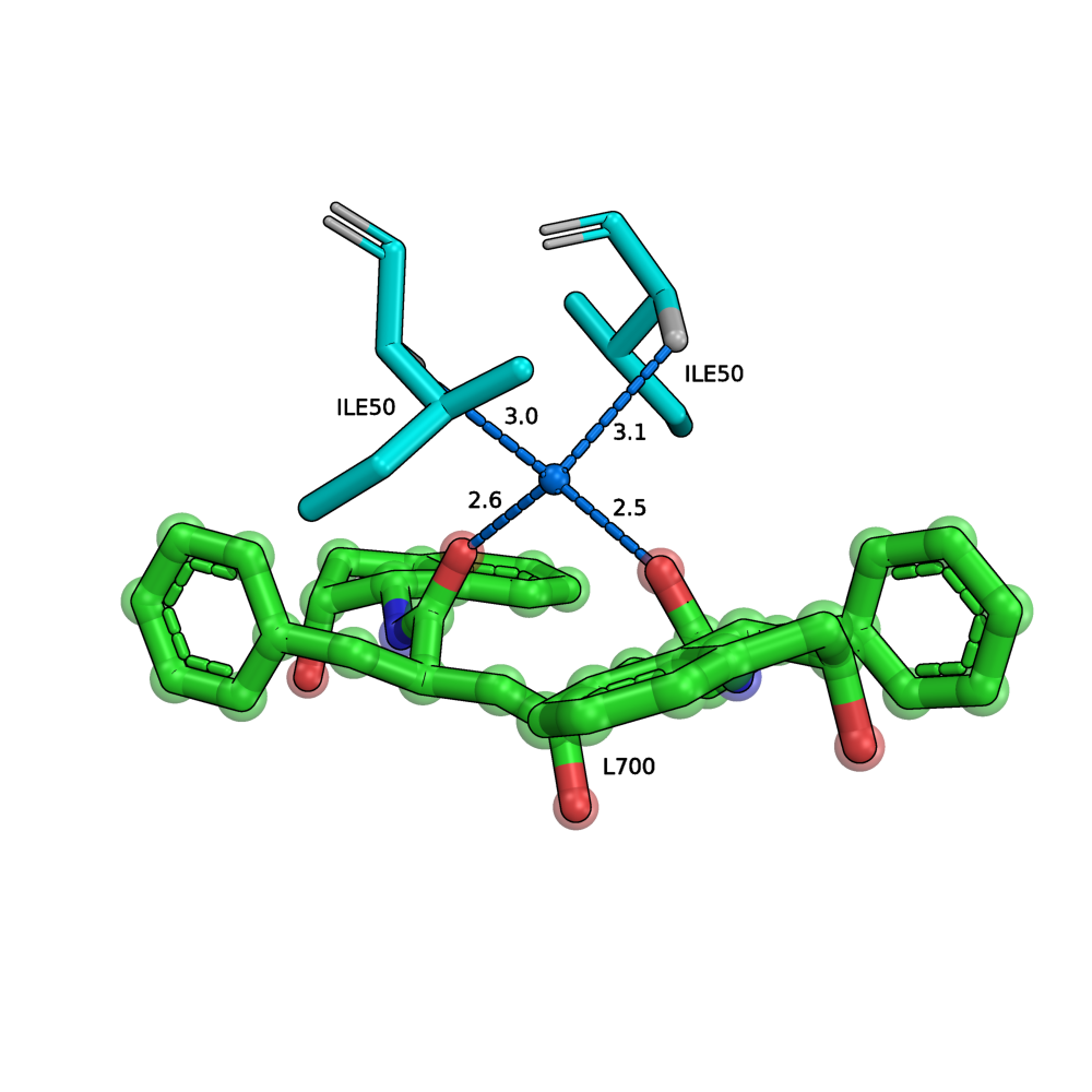 4PHV 3D Interactions